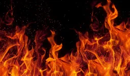 प्रयागराज में होली के दिन नशेड़ियों ने किया तंडाव, CRPF जवान की कार में लगाई आग, फूंकी गुमटियां