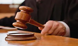 प्रयागराज : स्व-प्रतिनिधित्व वाले याचियों की त्रुटिपूर्ण याचिकाओं पर कोर्ट ने लगाई फटकार