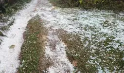 उत्तराखंड : बर्फबारी से अधिक ओलावृष्टि के लिए अनुकूल होने लगा है फरवरी 