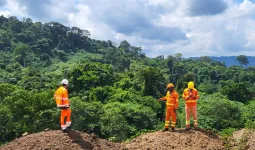 Uttrakhand: तराई में अंतर्राष्ट्रीय और अंतर्राज्यीय बॉर्डर तक के जंगलों में हाई अलर्ट