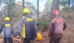 कॉर्बेट में मॉक ड्रिल का आयोजन:   जंगलों को आग से बचाने की तैयारियां शुरू, फायर सीजन को लेकर त्वरित कार्रवाई करेगा प्रशासन