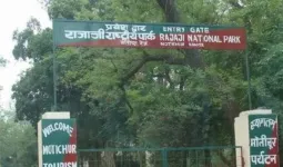 टाइगर रिजर्व के 'कोर जोन' में फंसे हरियाणा के 5 शिव भक्त, पुलिस और वन विभाग ने किया रेस्क्यू 