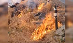 Uttrakhand: शैल बैंड और कालीमठ से सटे जंगल में धधकी आग, फायर सर्विस ने किया काबू 