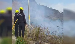 Uttrakhand: बारिश ने आंशिक रूप से बुझाई जंगलों में धधकी आग