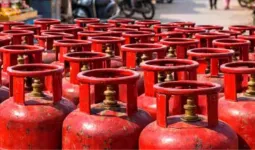 LPG संकट के बीच बड़ा अपडेट... इन उपभोक्ताओं की सेवाएं की गईं बंद, जल्द पूरा करें ये काम करना जरूरी