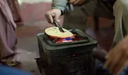 Uttrakhand: पीएनजी कनेक्शन और गैस के विकल्प के रूप में पिरुल ब्रिकेट को दें बढ़ावा