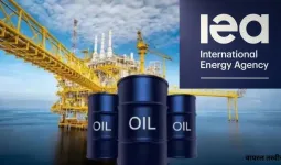 वैश्विक तेल आपूर्ति पर पड़ रहे दबाव के चलते आईईए की अपील, 'घर से काम, हवाई यात्रा न करने का सुझाव' 