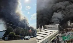 साउथ कोरिया की ऑटो फैक्ट्री में आग :  50 लोग घायल, राहत कार्य जारी 