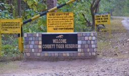 कॉर्बेट में ऑनलाइन ठगी : सफारी और नाइट-स्टे का झांसा देकर पर्यटकों से ठगी