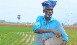 उर्वरक की टैगिंग पर योगी सरकार सख्त : खरीफ फसल के लिए यूरिया और डीएपी का कोटा तय, जानें नियम 