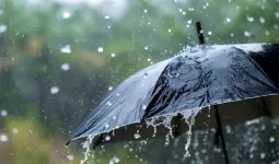 Uttrakhand:मूसलाधार बारिश से 30 डिग्री तक पहुंच गया मई में पारा
