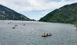 Uttrakhand News: नैनीताल में हुई प्री मानसून की हल्की बारिश, सरोवर नगरी में छाया कोहरा