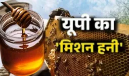 न्यूजीलैंड से मिलकर यूपी बढ़ाएगा शहद का कारोबार,  आधुनिक तकनीक और वैश्विक बाजार से जुड़ेगा मधुमक्खी पालन क्षेत्र