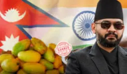 नेपाल ने भारतीय आमों के इम्पोर्ट पर लगाया बैन,  बालेन सरकार ने बताई ये बड़ी वजह 