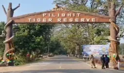 Pilibhit Tiger Reserve : अब सरकारी योजनाओं का लाभ भी दिलाएंगे 'बाघ मित्र', नई जिम्मेदारी के लिए मिलेगा विशेष प्रशिक्षण