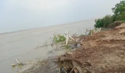  बाराबंकी :  कम हुआ जलस्तर पर नदी के तेवर कायम, कटान तेज 