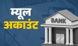 भारतीय युवक पर मनी म्यूल का आरोप,  अमेरिकी अदालत ने धोखाधड़ी में कनाडा से किया अरेस्ट 
