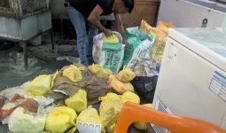   Kanpur News : त्योहार से पहले कानपुर में बड़ा एक्शन! 450 किलो बदबूदार खोया नष्ट, 19 नमूने लिए