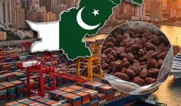 'UAE लेबल, पाकिस्तानी माल', कांडला पोर्ट पर पकड़ा गया 3 करोड़ का छुहारा 