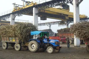 बरेली: अब चीनी-शीरा बेच चीनी मिलें चुकाएंगी गन्ने का बकाया भुगतान