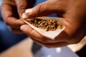 बरेली: पुलिस के संरक्षण में खुलेआम बिक रहा चरस-गांजा