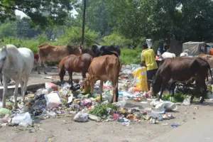 बरेली: सोमवार को हड़ताल पर रहेंगे सफाईकर्मी, कैसे उठेगा कूड़ा