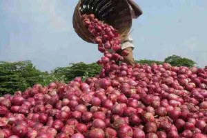 केंद्र ने कहा- कीमतें नियंत्रित करने को सुरक्षित भंडार से प्याज उठाएं राज्य