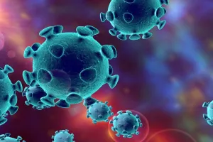 मुरादाबाद: दिल्ली से आएं हो तो पहले कराएं कोविड जांच