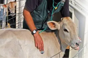 बरेली और प्रयागराज में पशु चिकित्सा पालीक्लिनिक की स्थापना के लिए 258.53 लाख रूपये मंजूर