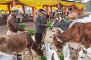 त्रिलोकपुर: कैदियों द्वारा गोशालाओं में की जा रही सेवा का निरीक्षण करने पहुंचे डीआईजी