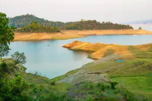 पोंग डैम झील में मिला कुछ ऐसा कि मच गया हड़कंप, जांच के आदेश