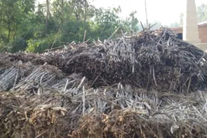 बरेली: मोबाइल नंबर फीडिंग में हो गया खेल, बिचौलियों के दर्ज हो गए नंबर