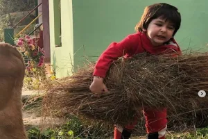 जन्मदिन पर गाय को चारा खिलाते दिखे तैमूर, तस्वीर पोस्ट कर करीना बोलीं- अपने सपनों का पीछा करो…