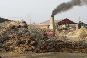 बरेली: गन्ना खरीद में खुला खेल, किसान बेबस और अफसर फेल