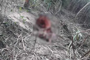 बरेली: गन्ने के खेत में मिले प्रतिबंधित पशुओं के अवशेष, लोगों का हंगामा