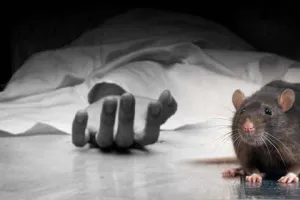 कृषि कानूनों के खिलाफ धरने पर बैठे किसान की मौत, पोस्टमार्टम हाउस में शव चूहों ने कुतरा