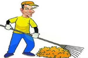 बरेली: सफाई का जिम्मा, वाहन दौड़ा रहे सफाई कर्मी