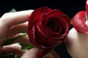 Rose Day: ये गुलाब नहीं आसां…बस इतना समझ लीजै, हर रंग अनोखा है और उसका मतलब भी जुदा है…