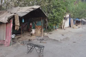 बरेली: योजनाएं तमाम फिर भी छप्पर से निजात नहीं!