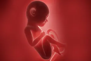 गर्भपात की अवधि बढ़ाने वाले विधेयक को संसद की मंजूरी