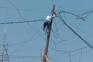 लखनऊ: बिना आईटीआई के ही लेसा में रखे जा रहे कर्मचारी, जान जोखिम में डालकर लाइन को करते हैं दुरुस्त