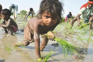 मुरादाबाद : किताबें छोड़ बच्चों को थमाया फावड़ा तो मिलेगी सजा