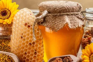 बरेली: हनी मिशन के तहत बनाएं 100 लोगों का समूह, पाएं एक करोड़ का लोन