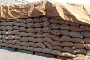 बरेली: फिर हुए दावे, गेहूं खरीद में बिचौलियों से मिलेगा छुटकारा