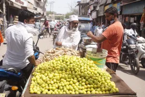 बरेली: कोरोना काल में एक नीबू की कीमत 7 रुपये