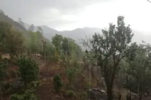 हल्द्वानी: पहाड़ों पर हुई बारिश और ओलावृष्टि ने मौसम को बनाया खुशनुमा