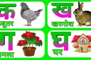 बरेली: ‘क’ से कबूतर, ‘ख’ से खरगोश वाली किताबों में भी वसूली