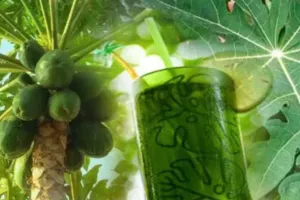 यू ट्यूब के नुस्खों से रहें सावधान, पपीते के पत्तों के काढ़े ने ले ली दो बच्चों की जान