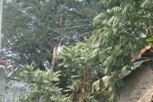 हल्द्वानी: लापरवाही की चिंगारी से कोतवाली में भड़की थी आग