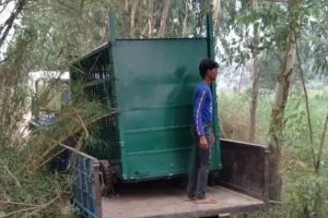 बरेली: वन विभाग के क्या कहने…बाघिन पकड़ने को बिना शिकार के ही लगा दिया पिंजड़ा